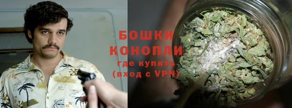 гидра Костерёво