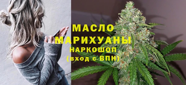 эйфоретик Гусь-Хрустальный
