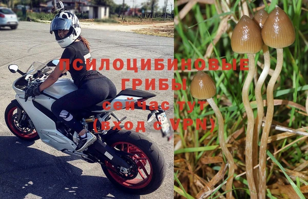 гидра Костерёво