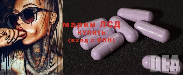 гидра Костерёво