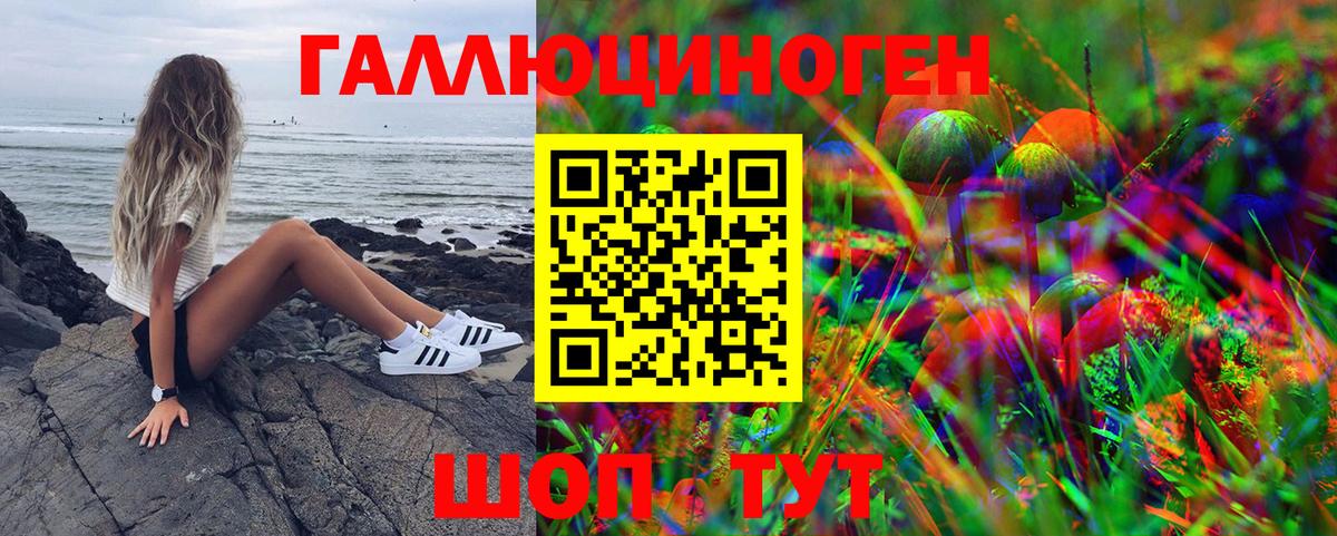 Псилоцибиновые грибы прущие грибы Махачкала