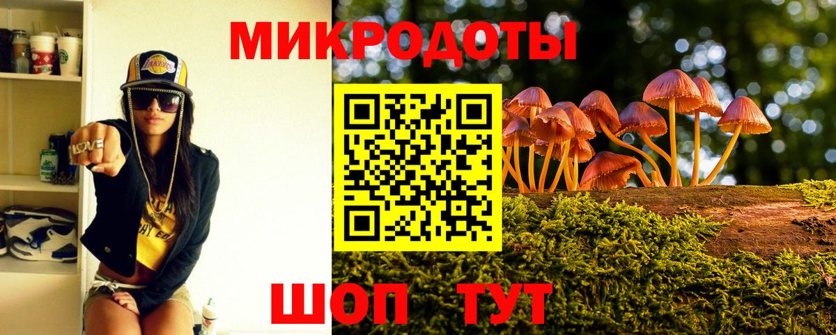 магазин продажи наркотиков  Вход с VPN  Махачкала  Псилоцибиновые грибы мицелий 